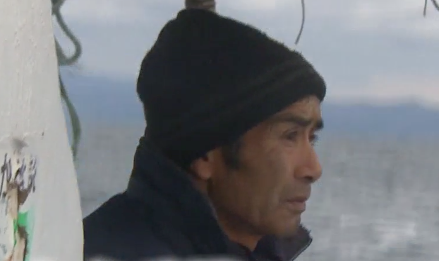 山本さんマグロ漁師の現在 船が衝突事故 息子や年収 マグロの値段 Johoweb